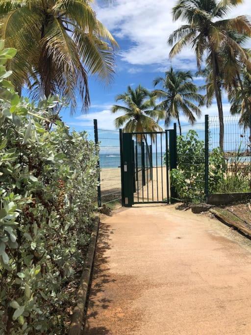 Soleiade Le Gosier - Acces Plage Екстериор снимка